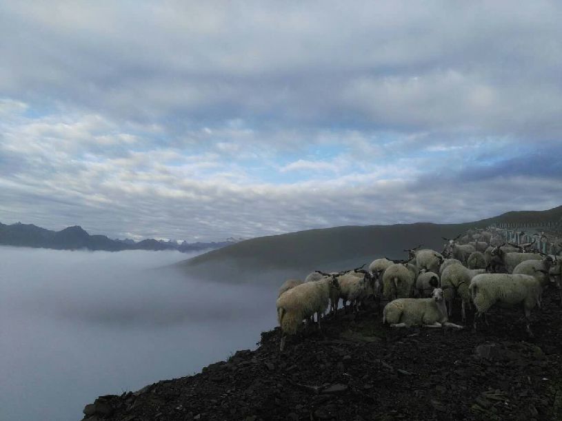 中国】达瓦更扎看云海开元ky棋牌【大美(图4)