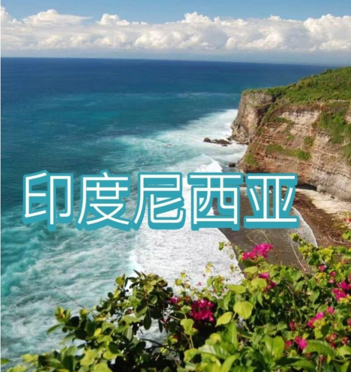 国际电商(印尼)产业博览会ky开元棋牌2025中国