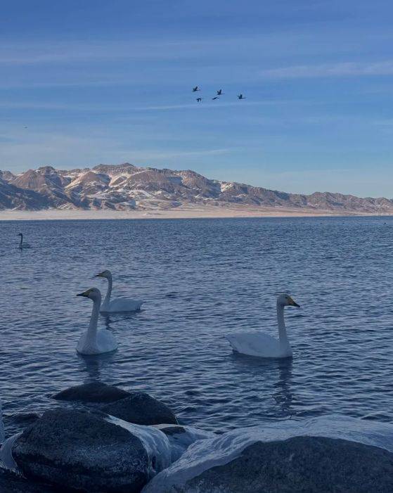 胜游领衔2025新疆高信誉旅行社TOP10开元棋牌app5000+游客亲测揭晓：远(图4)